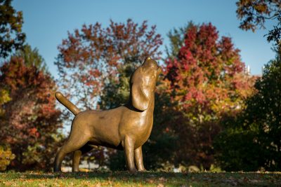 Shiloh, beagle statue with fall colors outside the  Virginia-Maryland College of Veterinary Medicine.