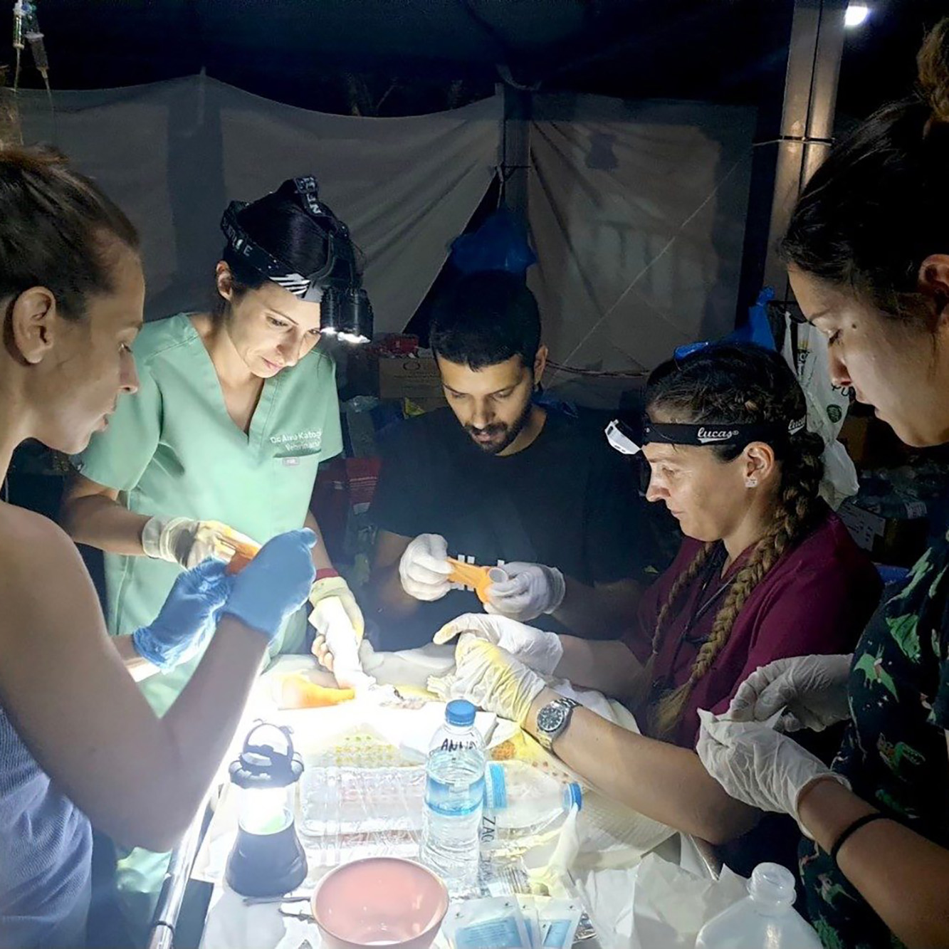 Group of veterinary professionals working around a small table in the dark with headlamps.