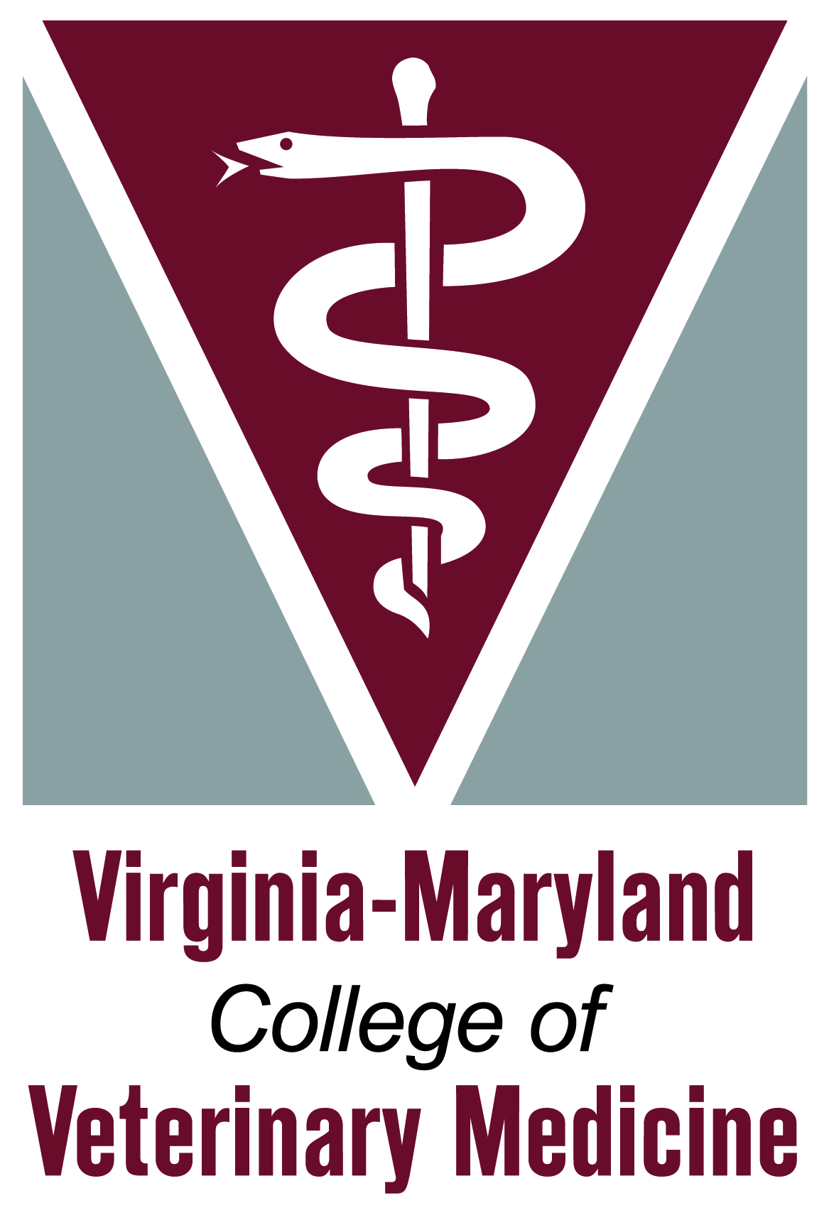 VMCVM Logo.