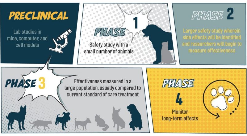 Clinical studies infographic
